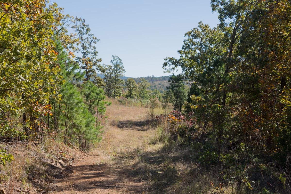 Stone Creek Phase I Tract 176 photo 2
