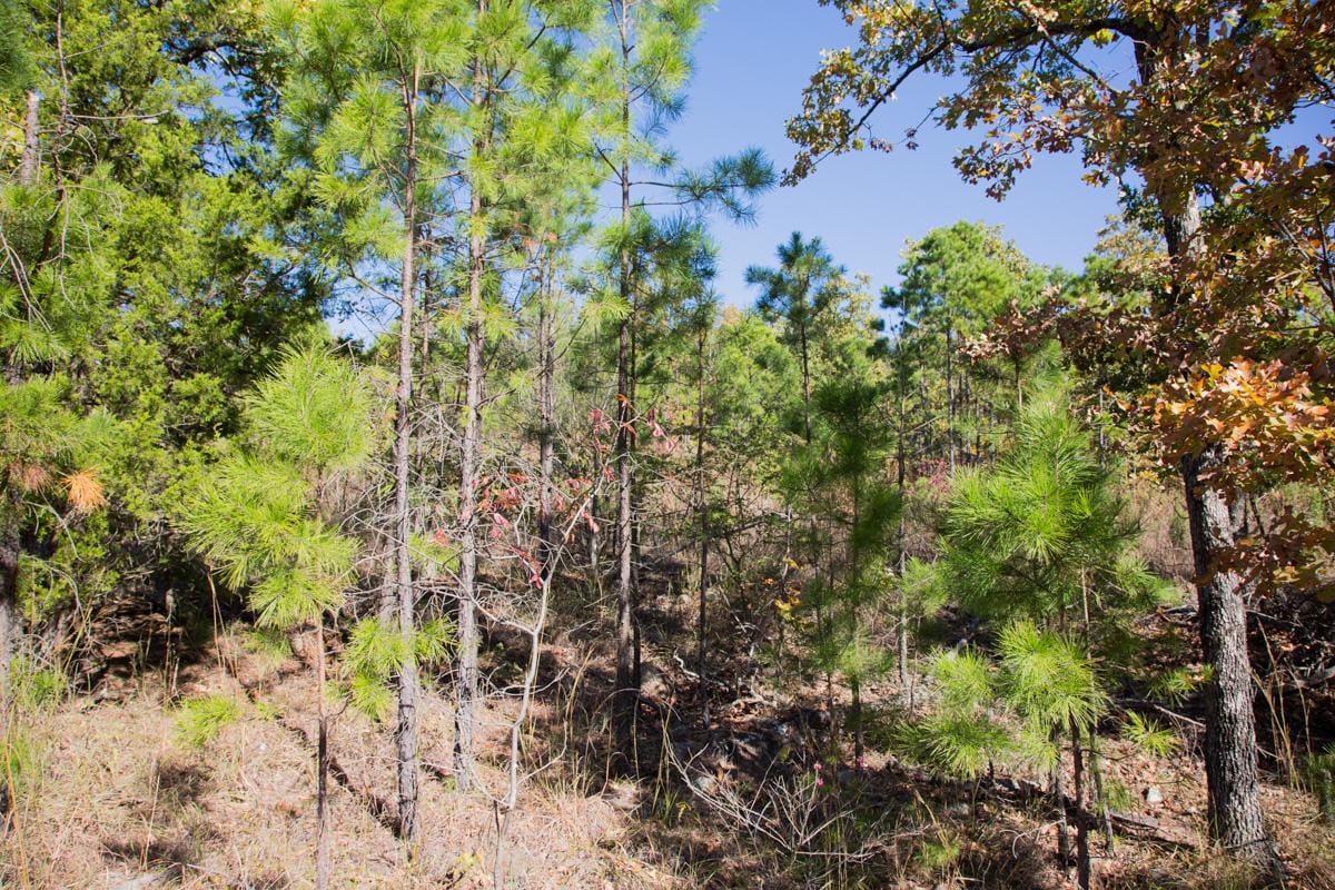 Stone Creek Phase I Tract 176 photo 10