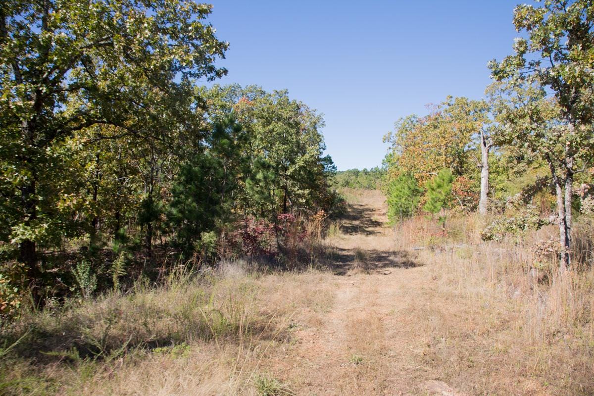 Stone Creek Phase I Tract 176 photo 11