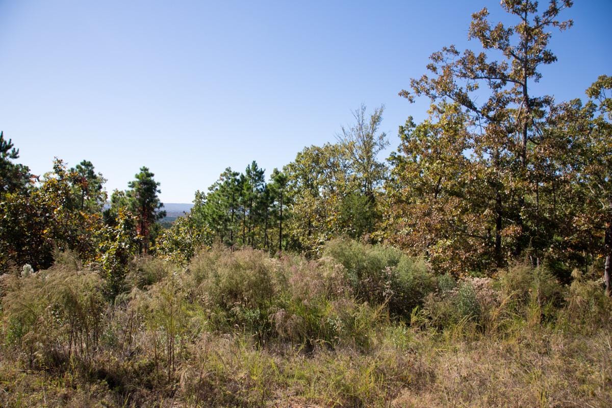 Stone Creek Phase I Tract 176 photo 12