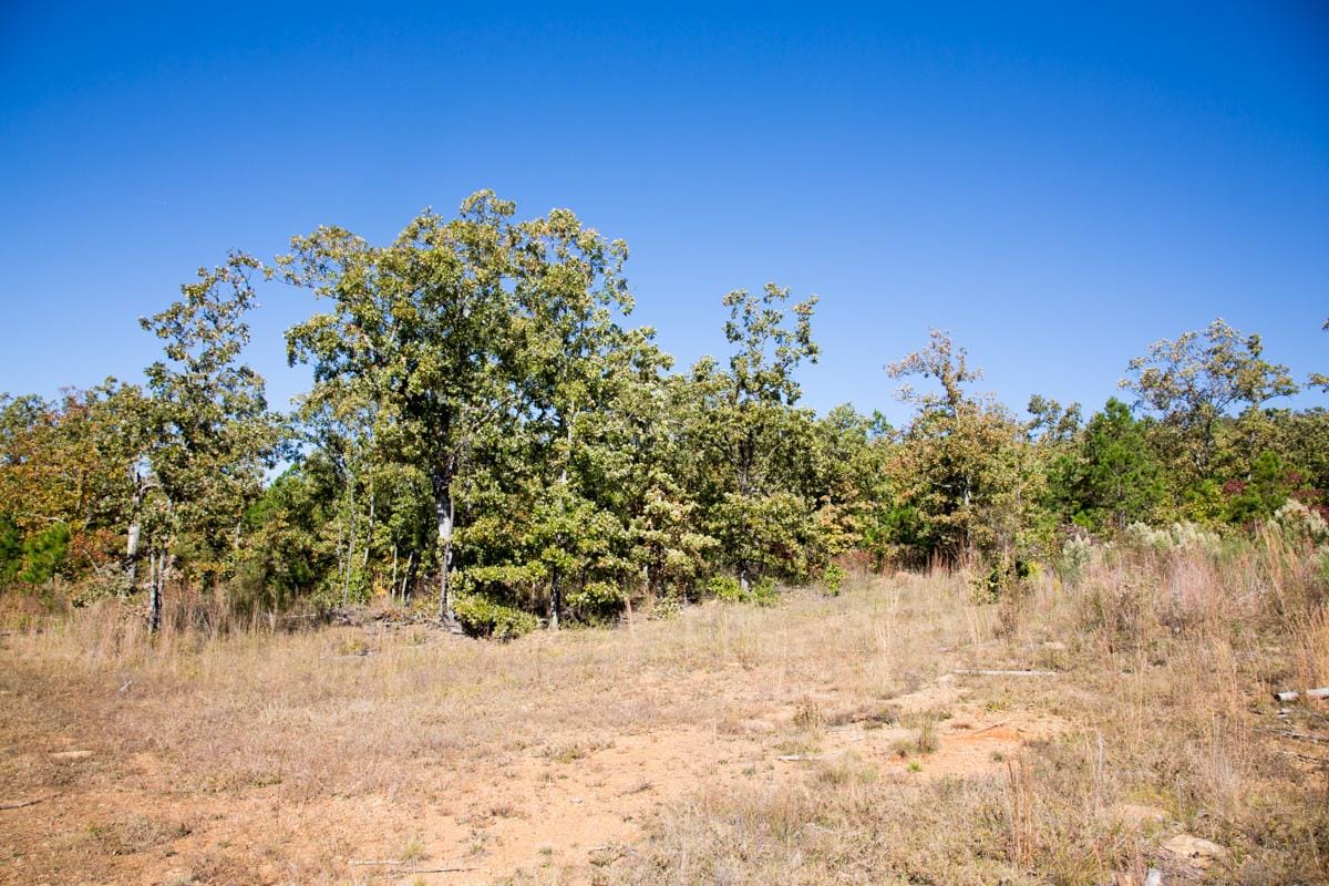 Stone Creek Phase I Tract 176 photo 13
