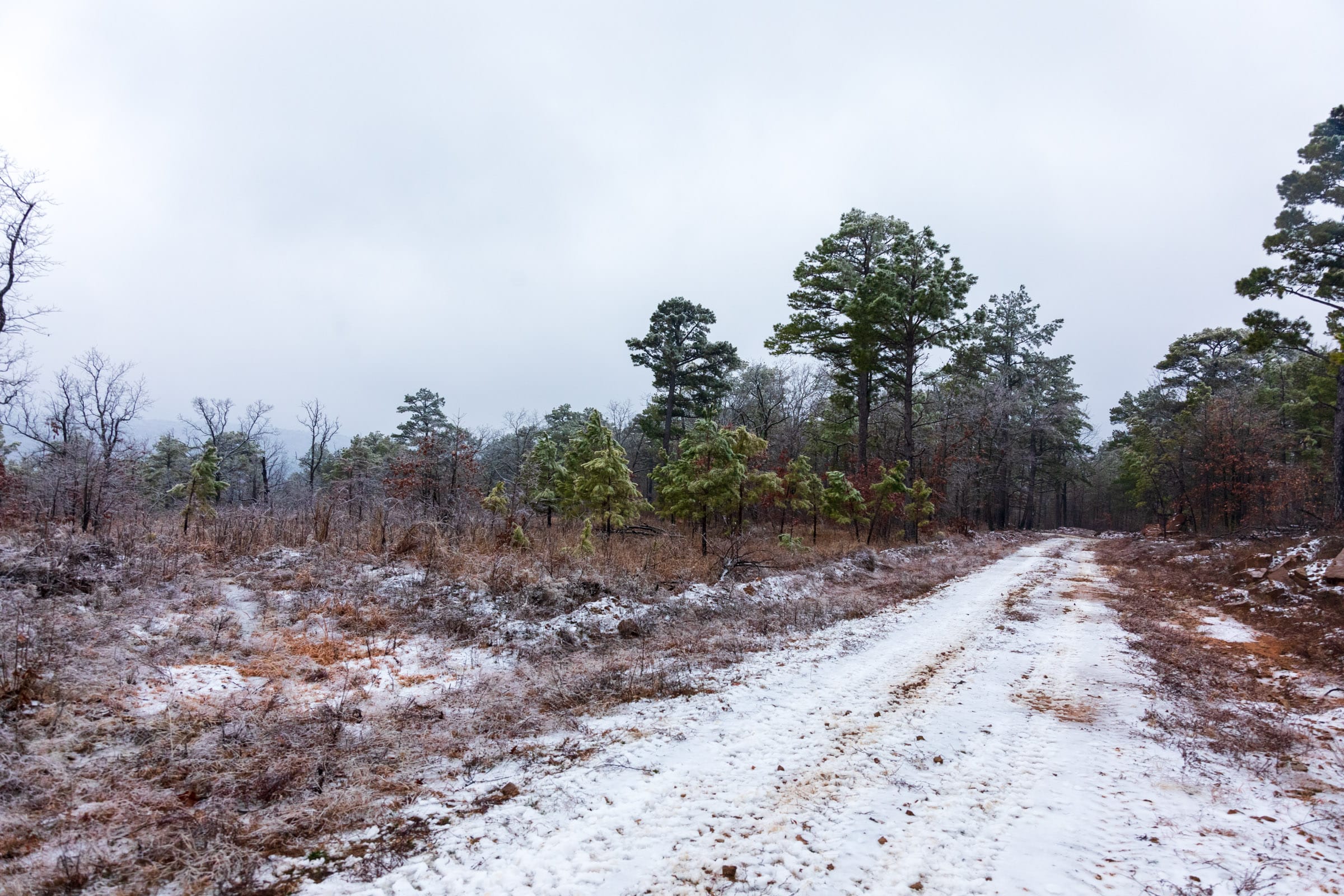 Stone Bridge Phase IV Tract 315 photo 16