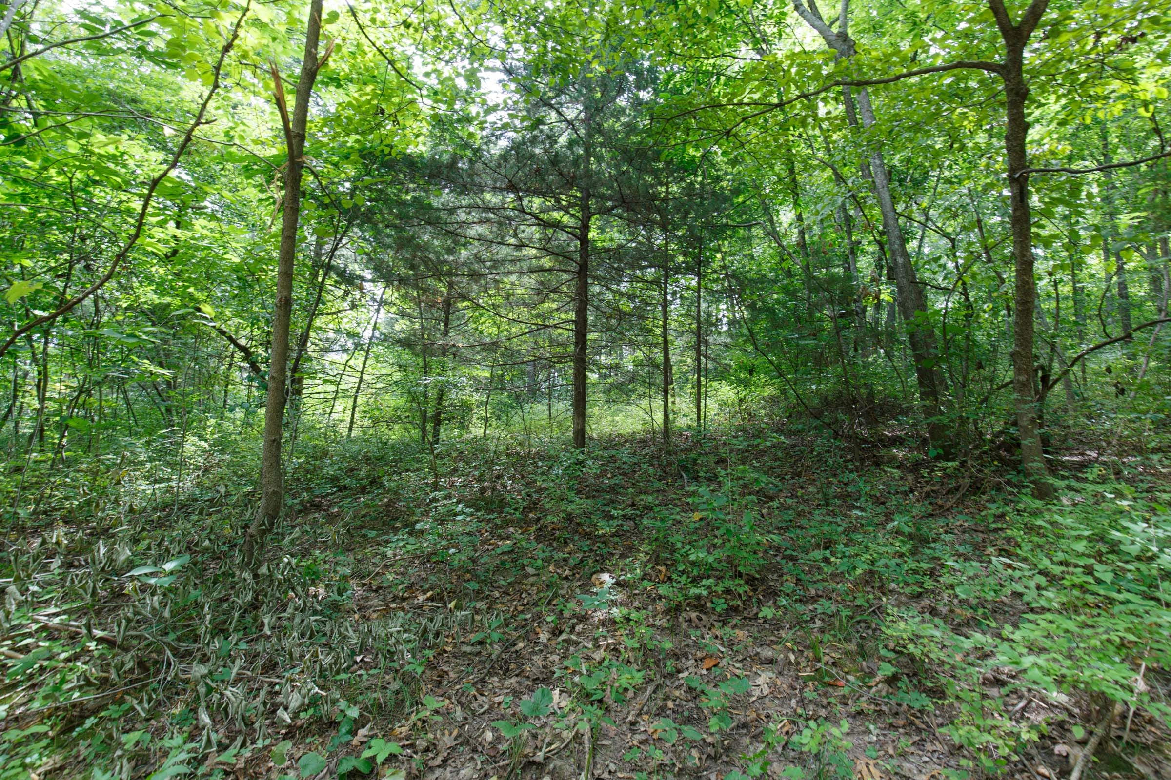 Spring Lake Plat 4 Tract 59 photo 3