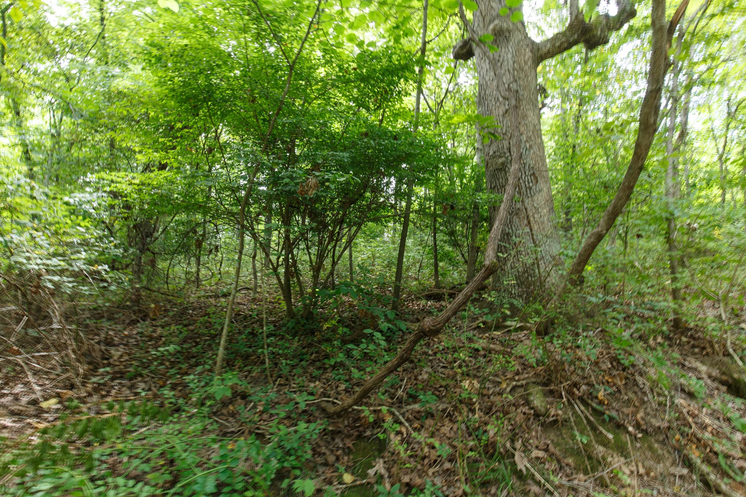 Spring Lake Plat 4 Tract 59 photo 1