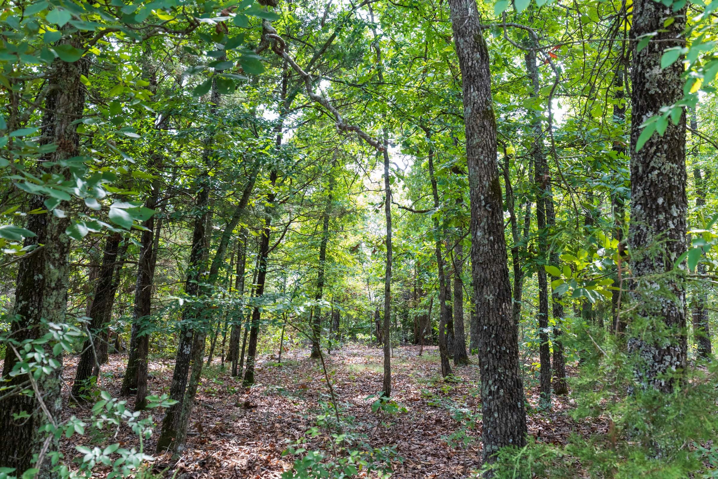 Heritage Bend Tract 15 photo 2