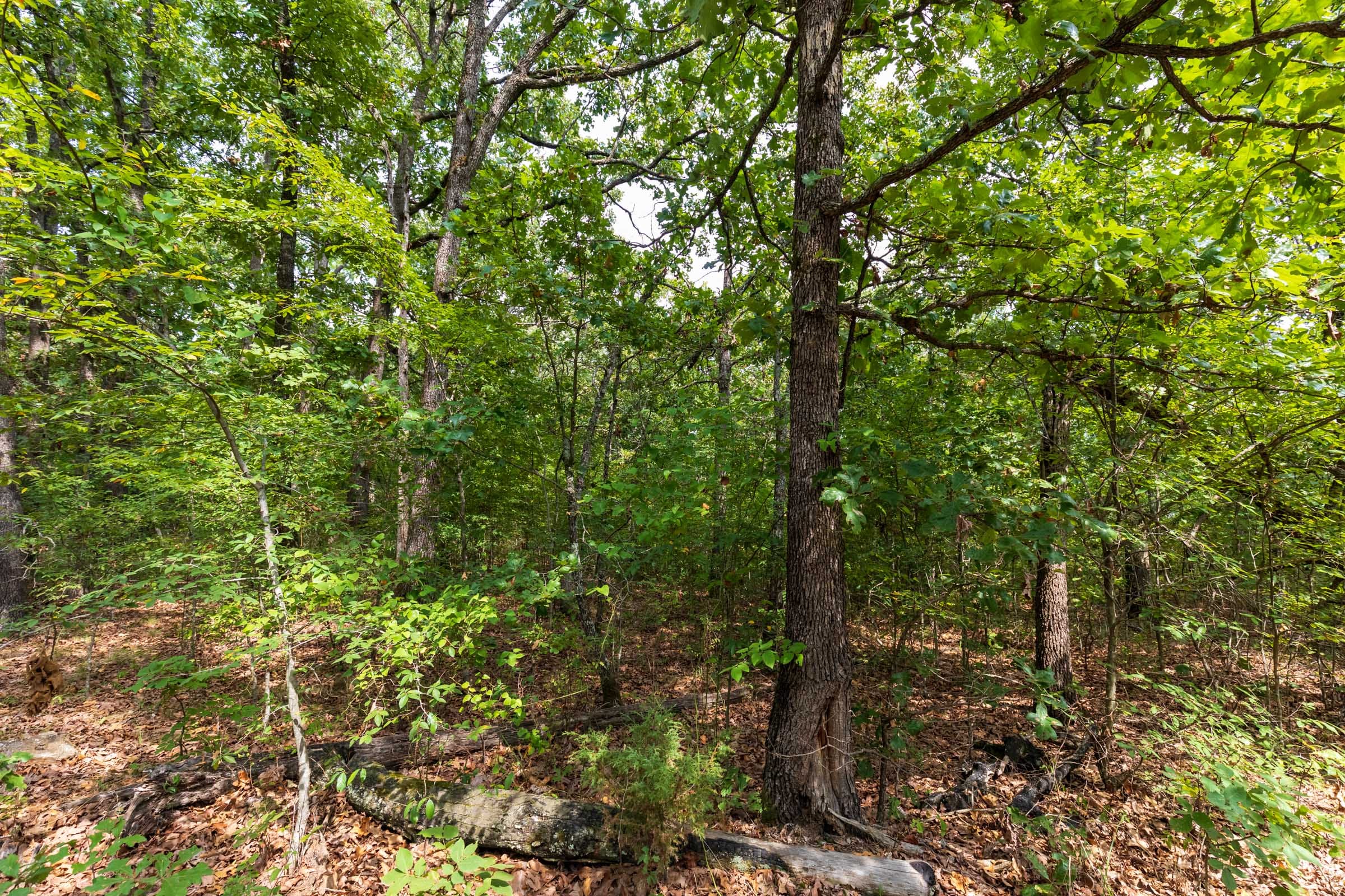 Heritage Bend Tract 15 photo 3