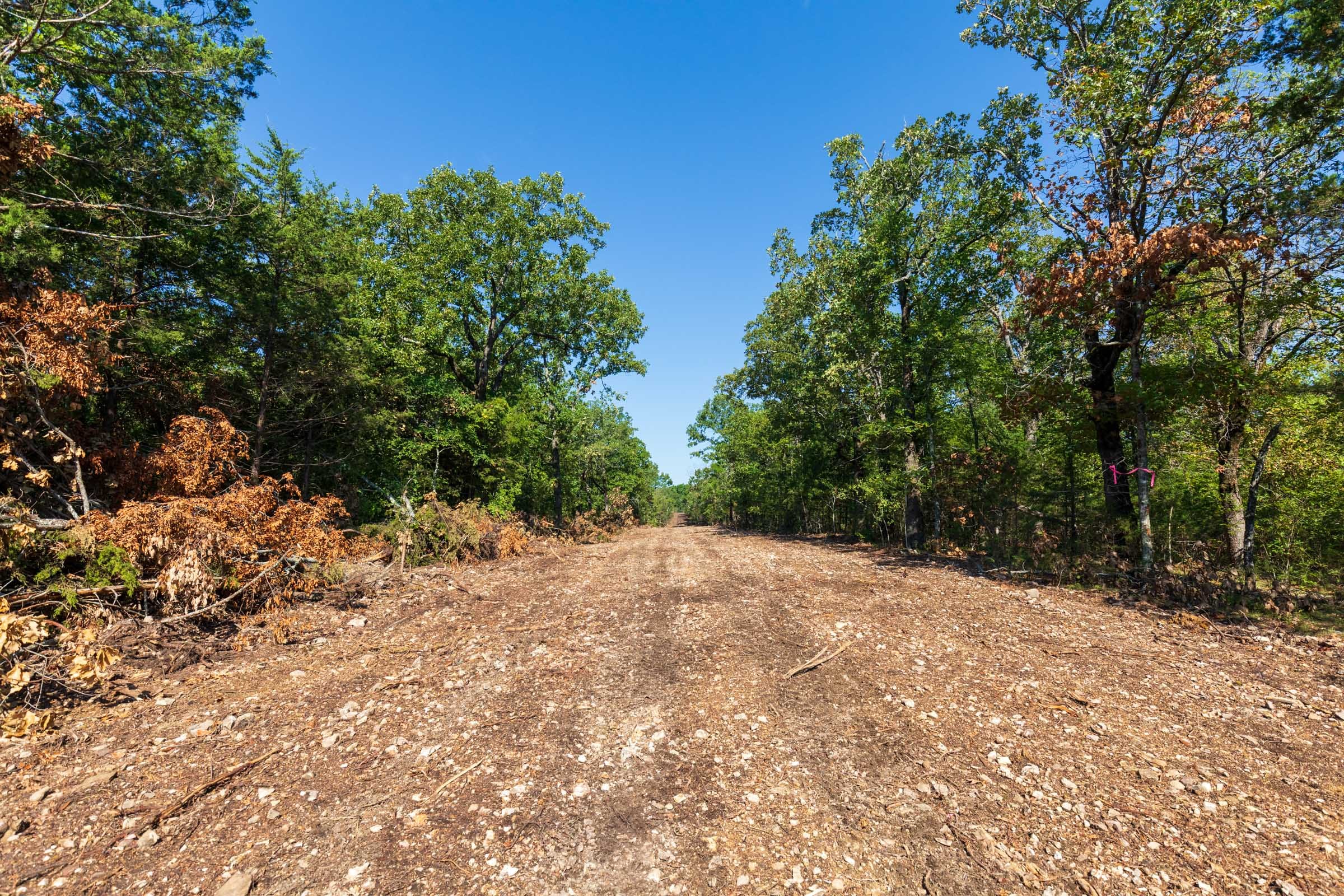 Heritage Bend Tract 15 photo 4