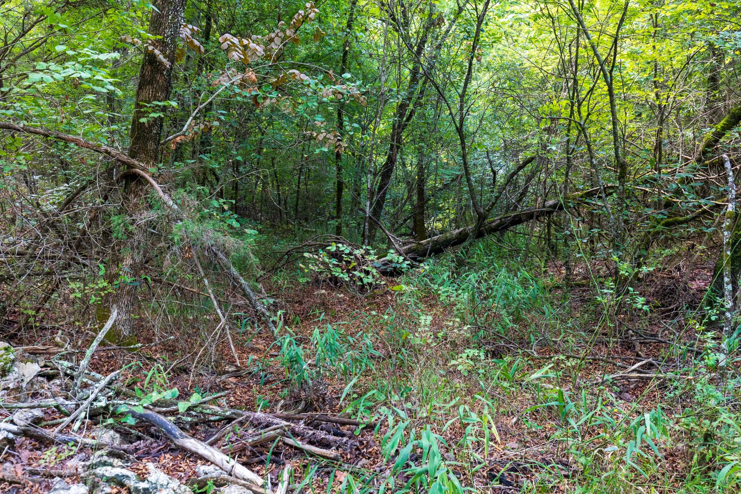 Heritage Bend Tract 15 photo 8