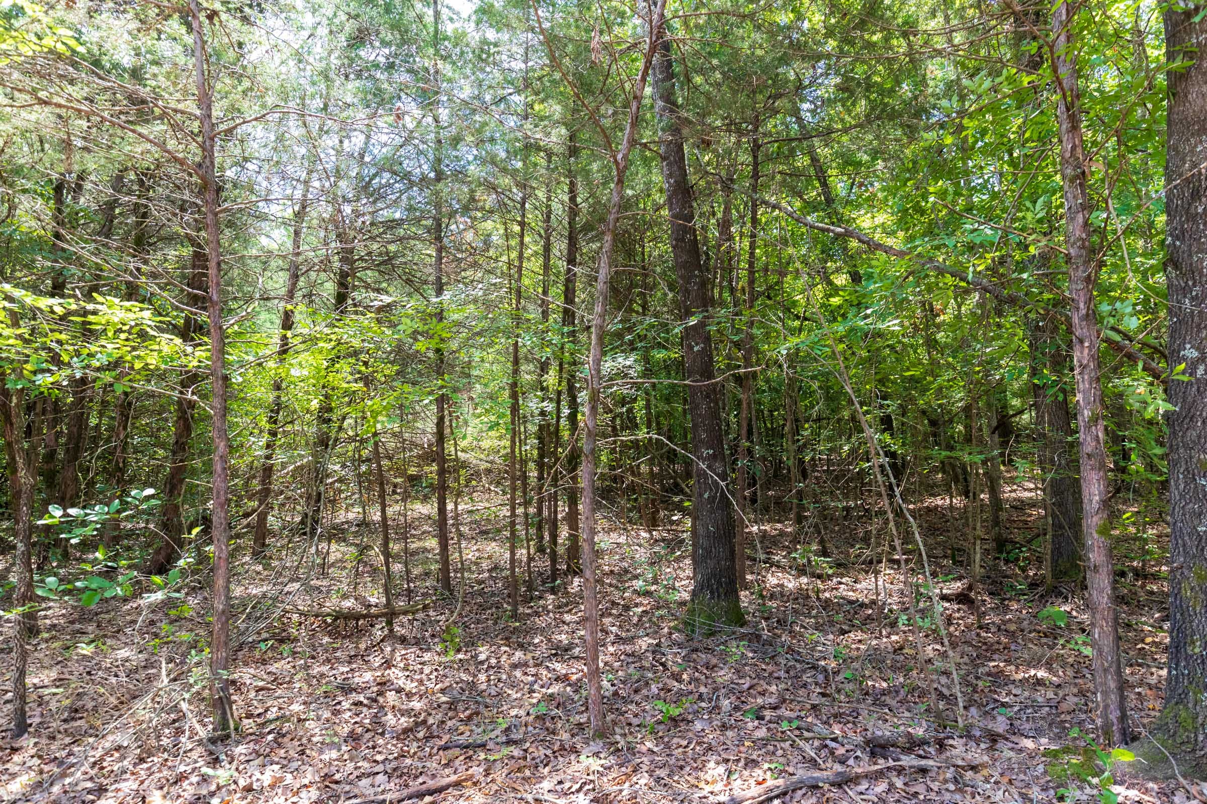 Heritage Bend Tract 15 photo 9