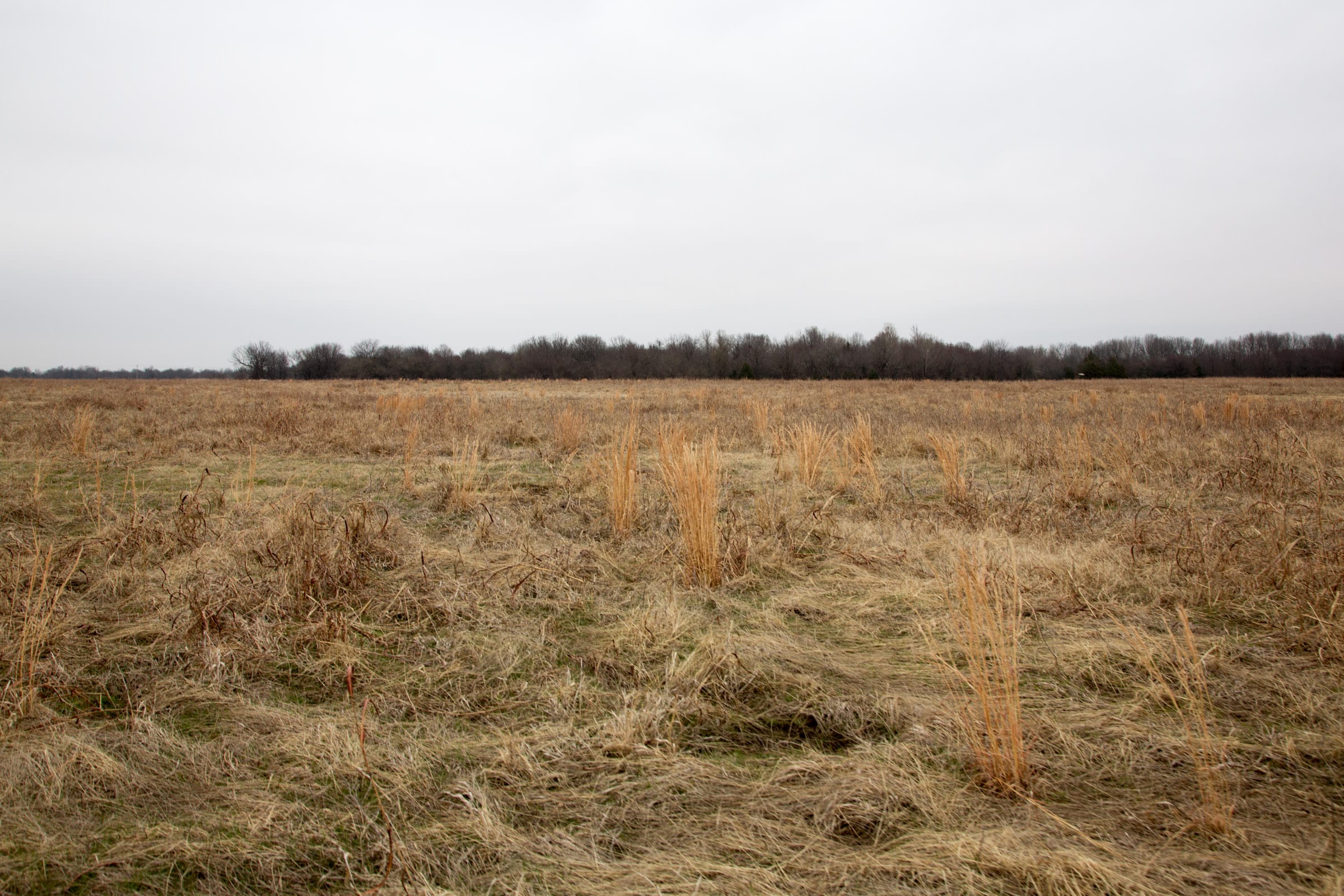Canadian Plains Tract 28 photo 3