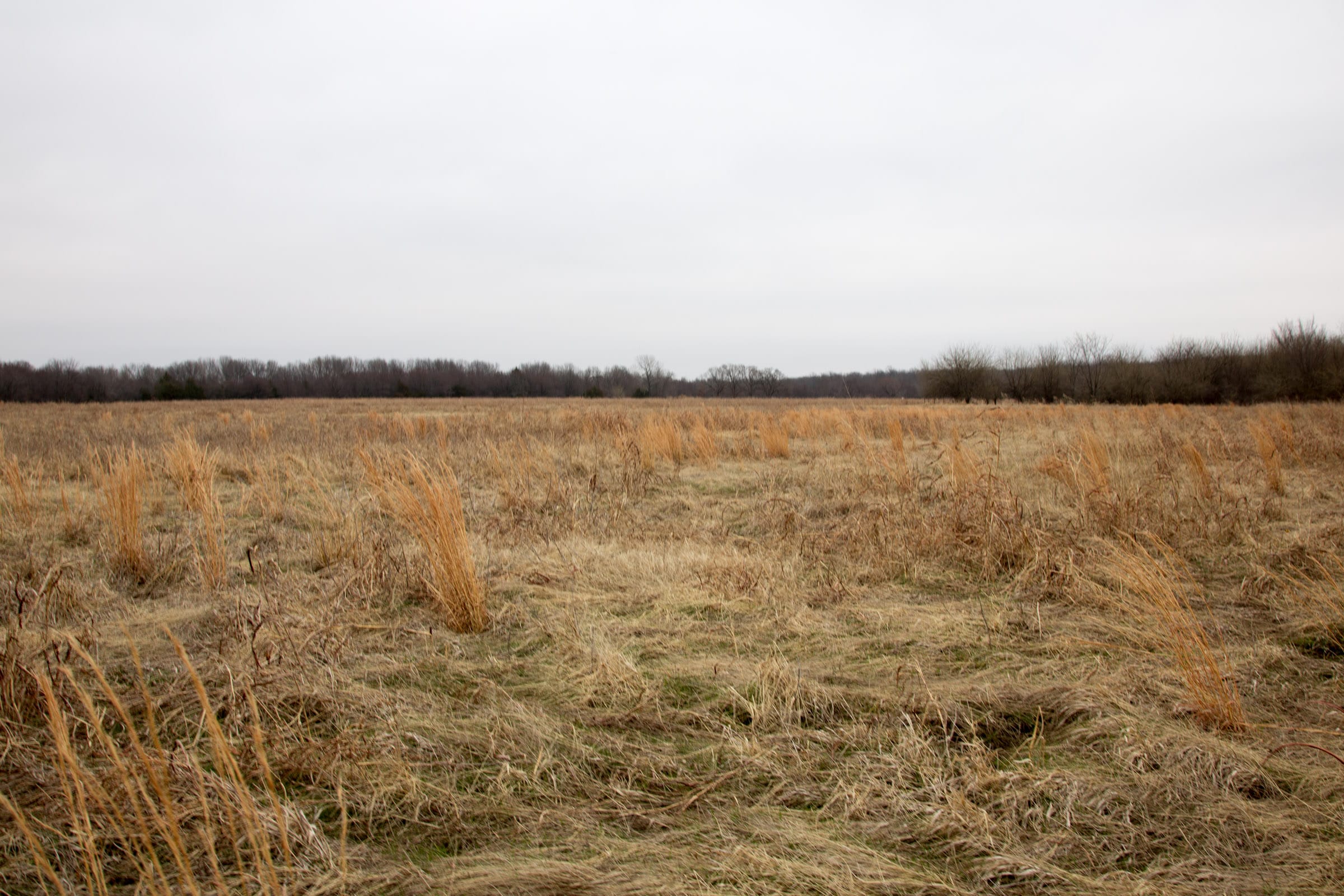 Canadian Plains Tract 28 photo 4