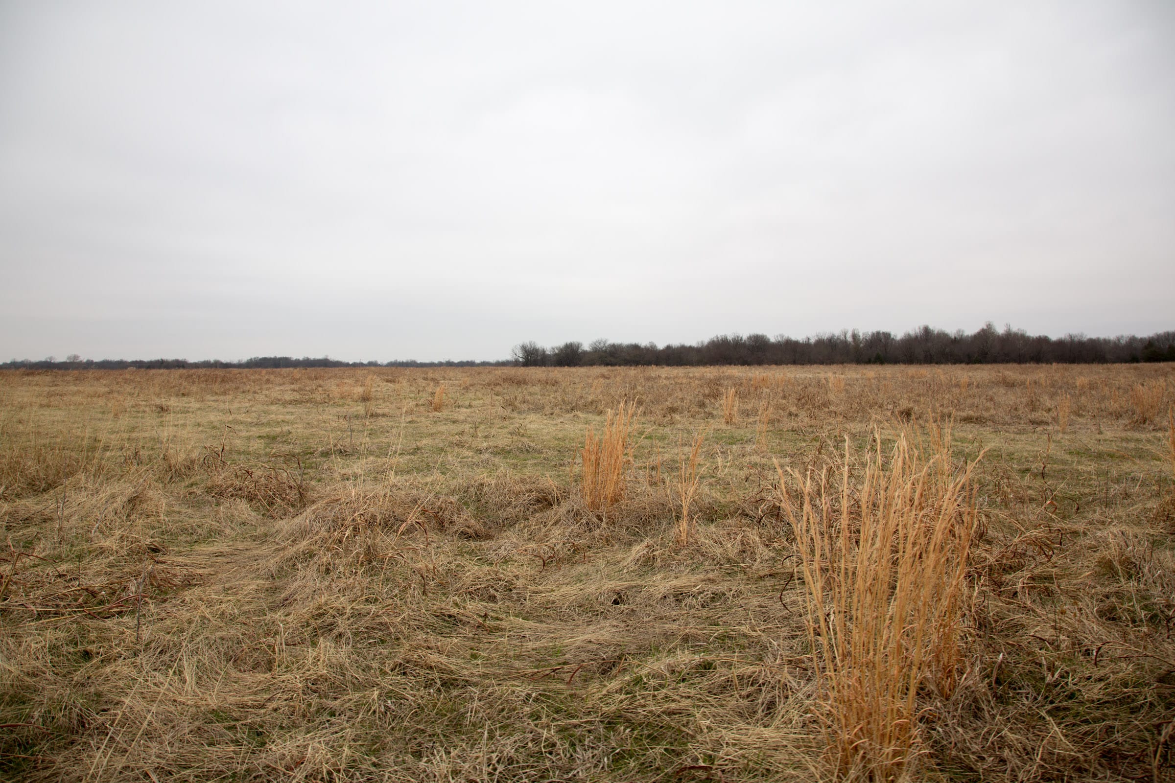 Canadian Plains Tract 28 photo 5