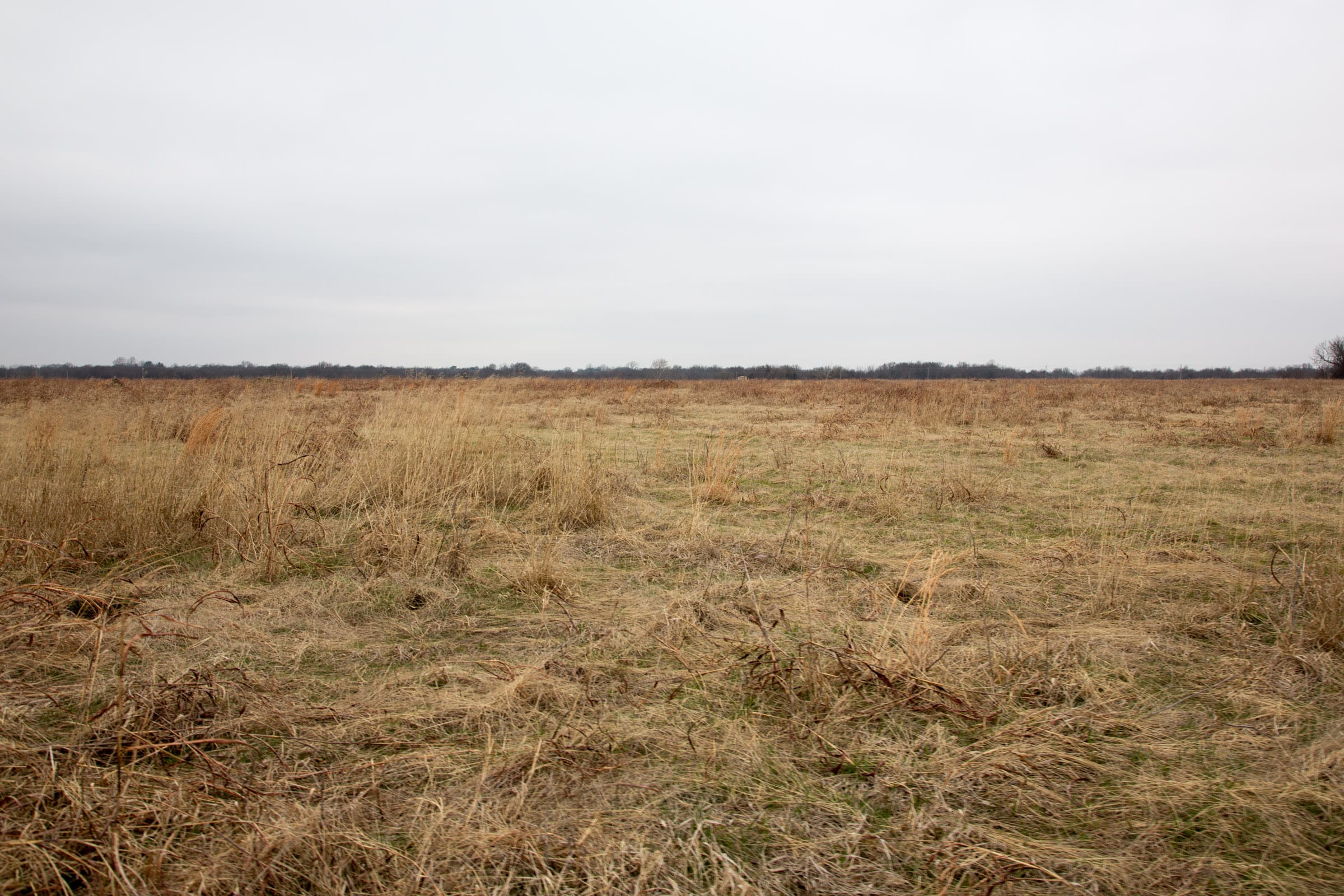 Canadian Plains Tract 28 photo 6