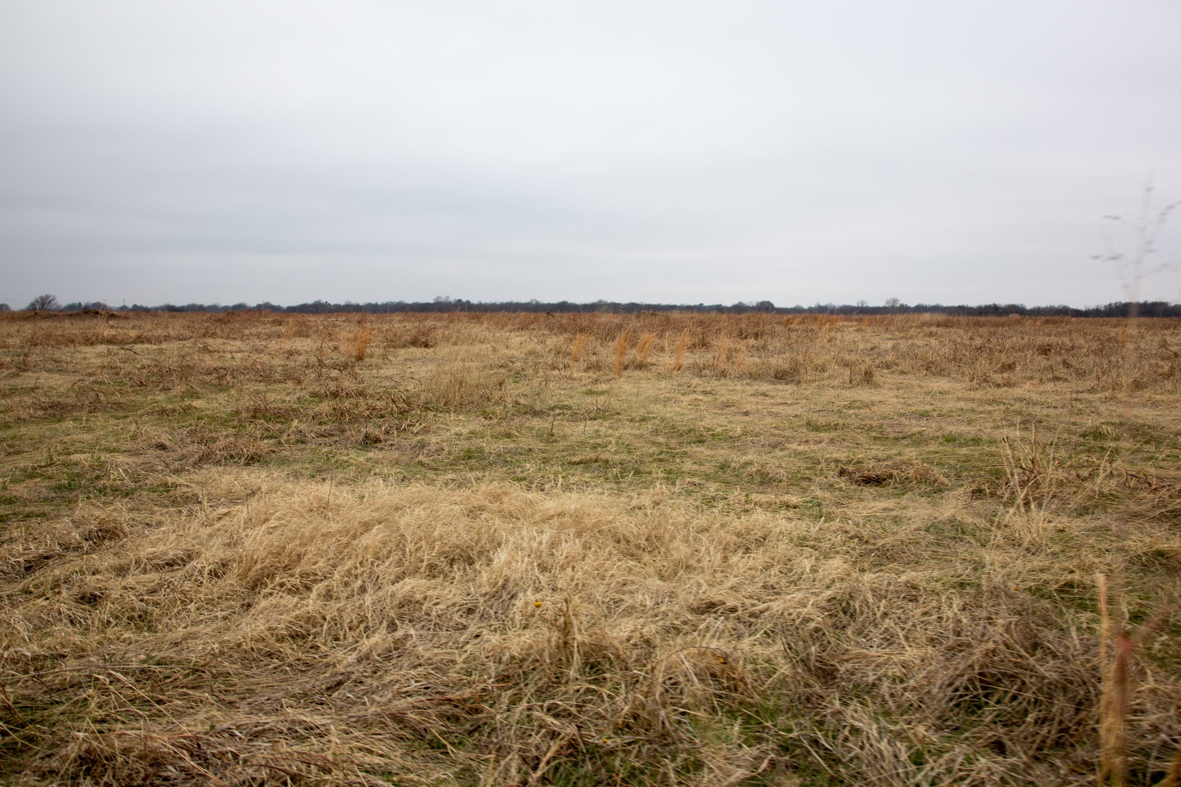 Canadian Plains Tract 28 photo 7