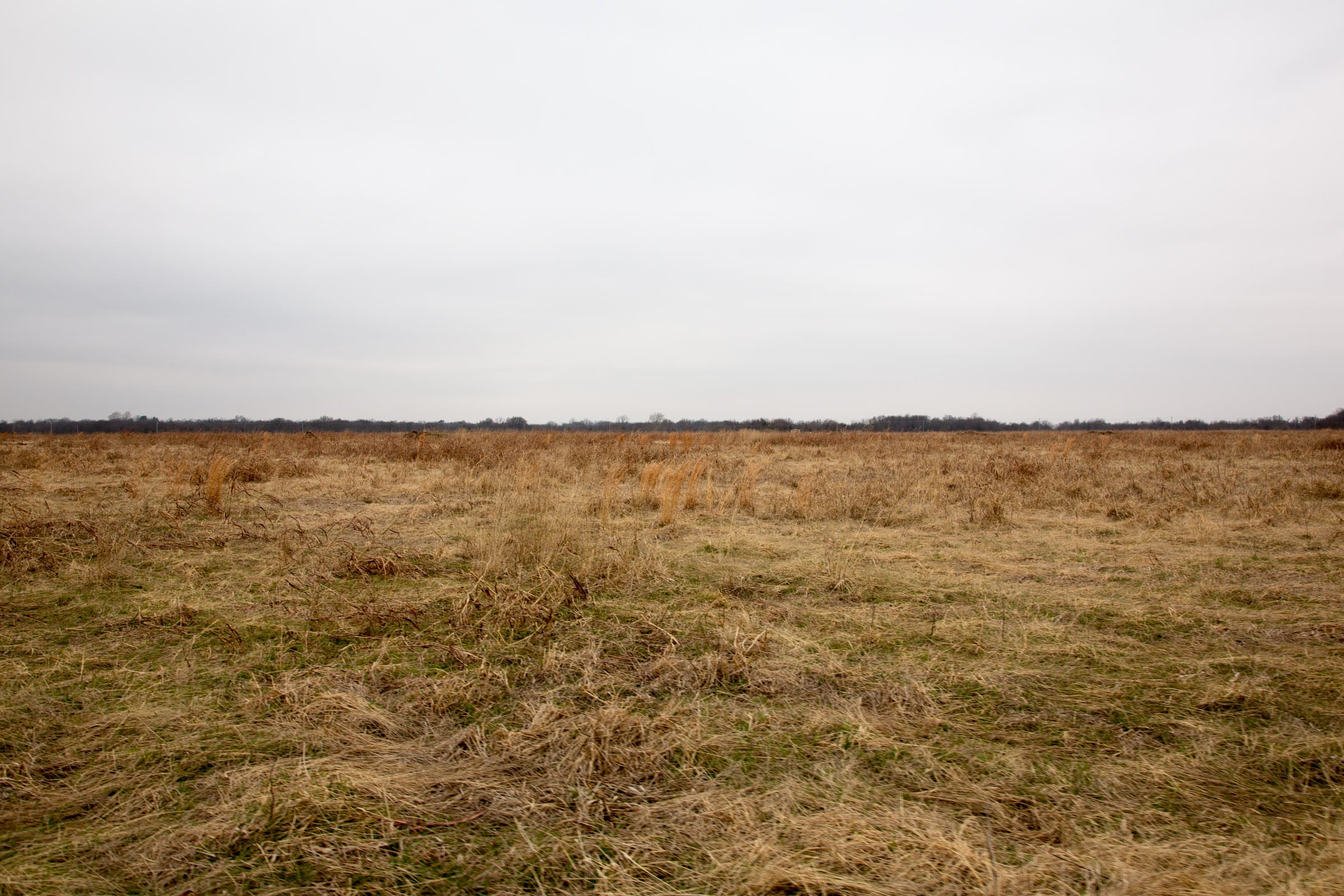 Canadian Plains Tract 28 photo 8