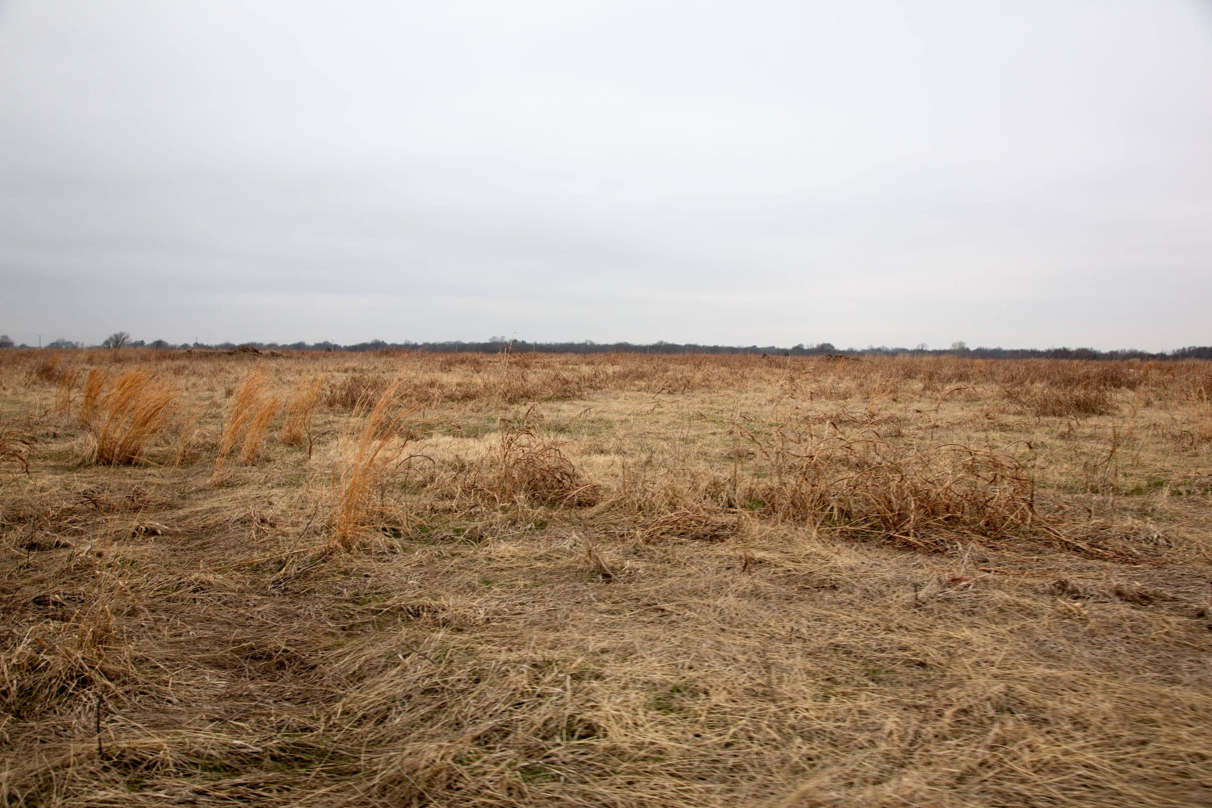 Canadian Plains Tract 28 photo 10