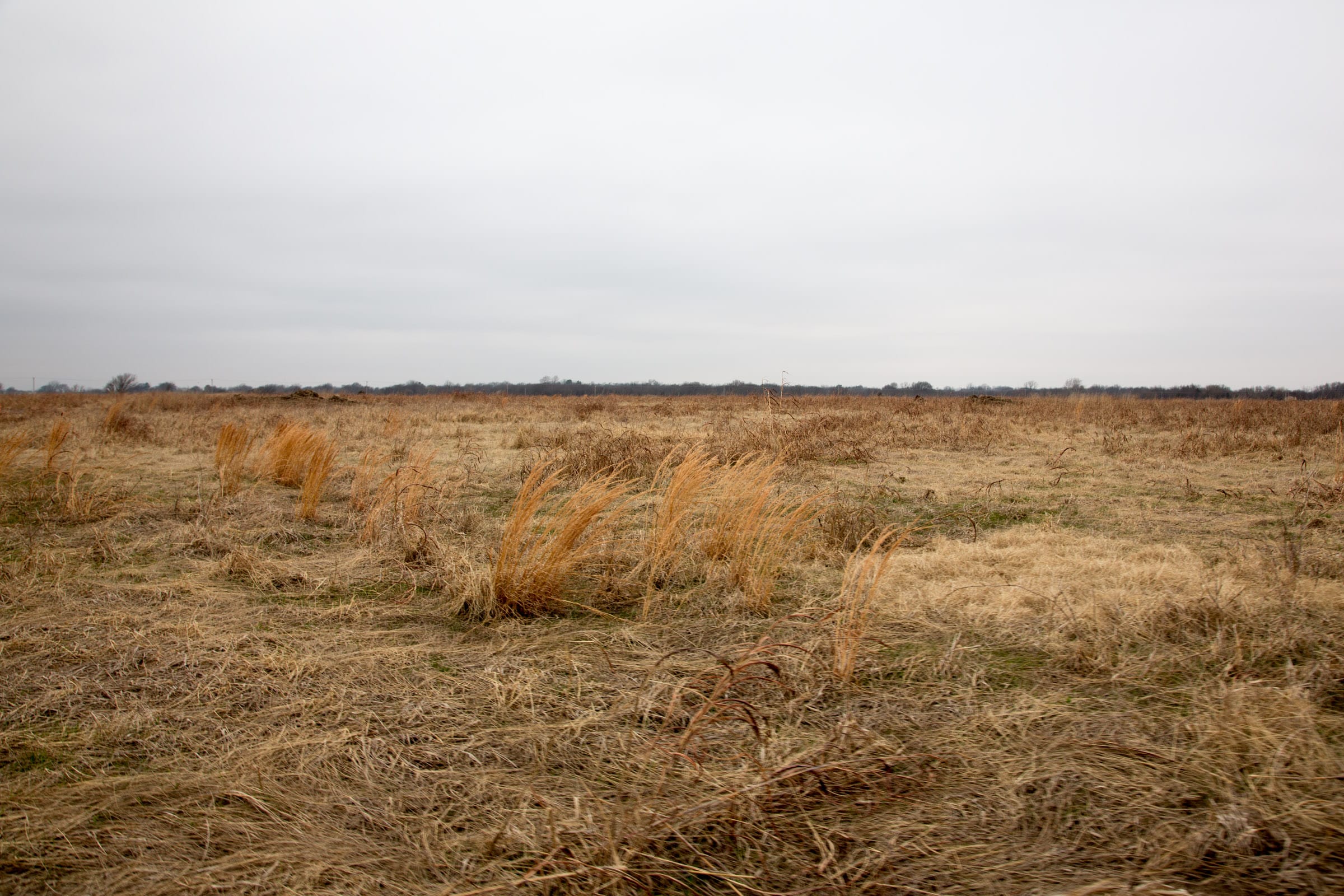 Canadian Plains Tract 28 photo 11