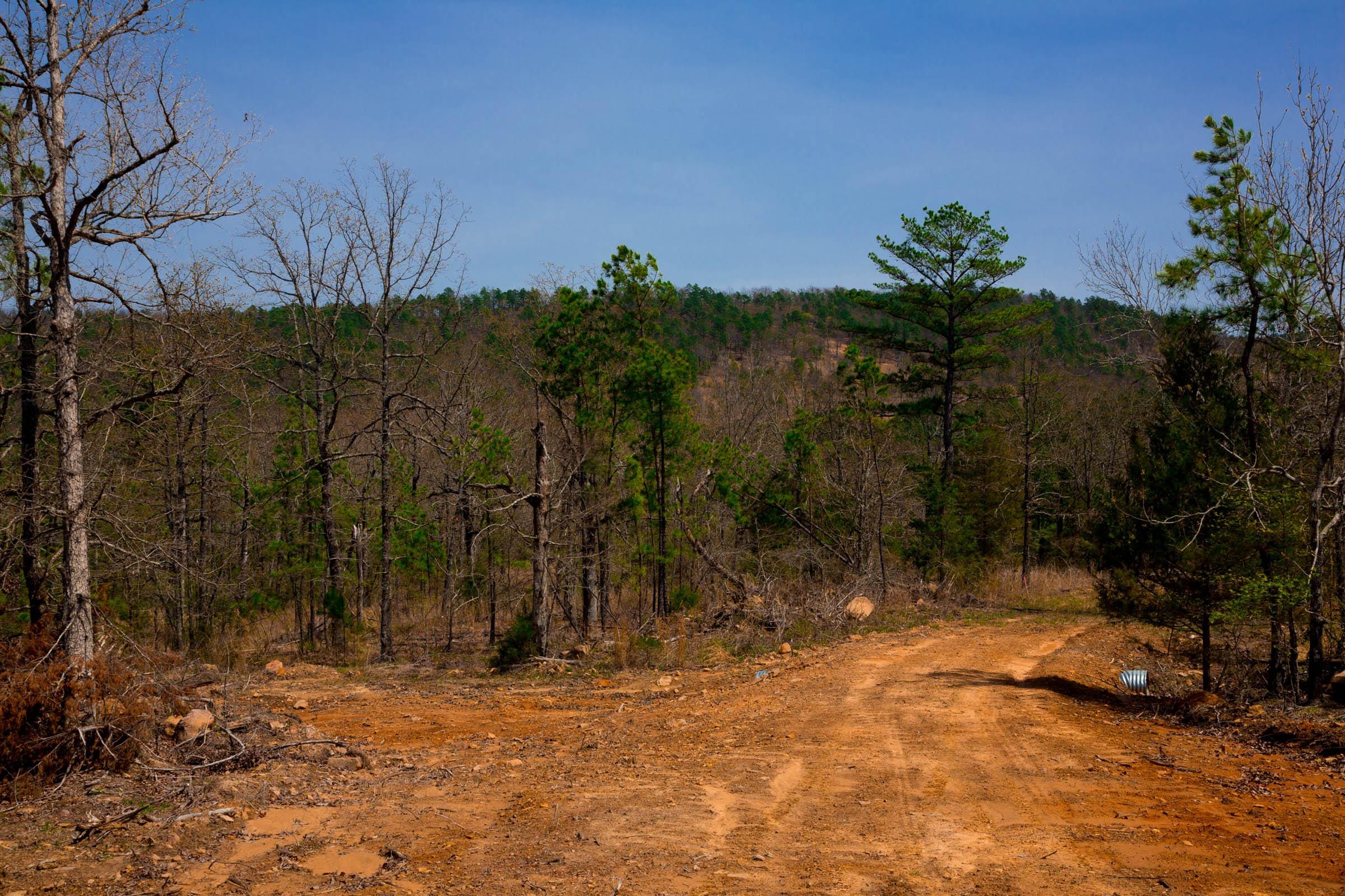 Stone Creek Phase II Tract 212 photo 2