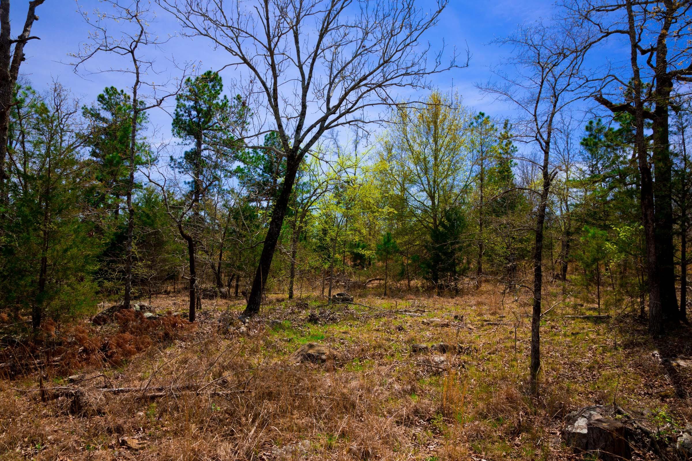 Stone Creek Phase II Tract 212 photo 3