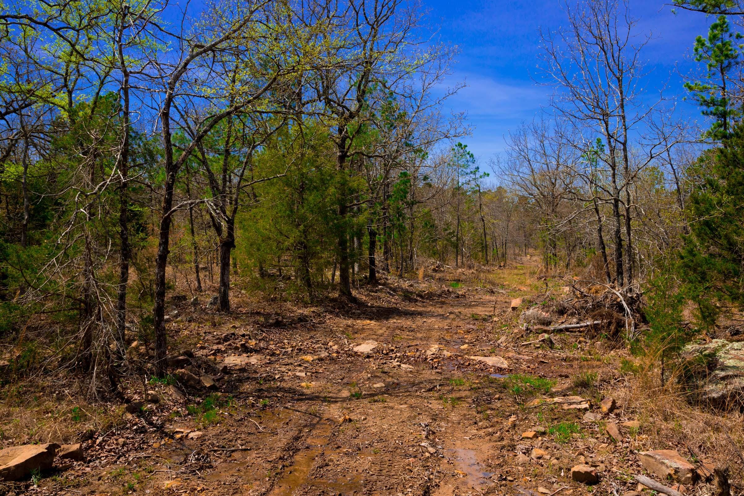 Stone Creek Phase II Tract 212 photo 4