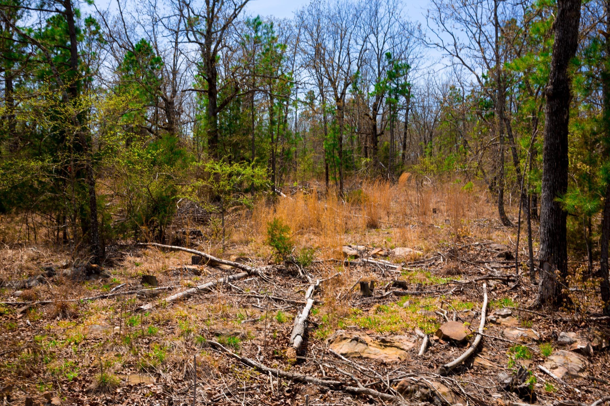 Stone Creek Phase II Tract 212 photo 5