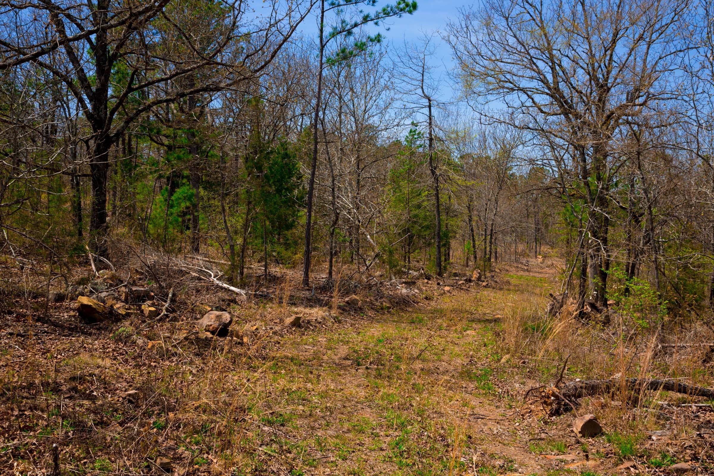 Stone Creek Phase II Tract 212 photo 6
