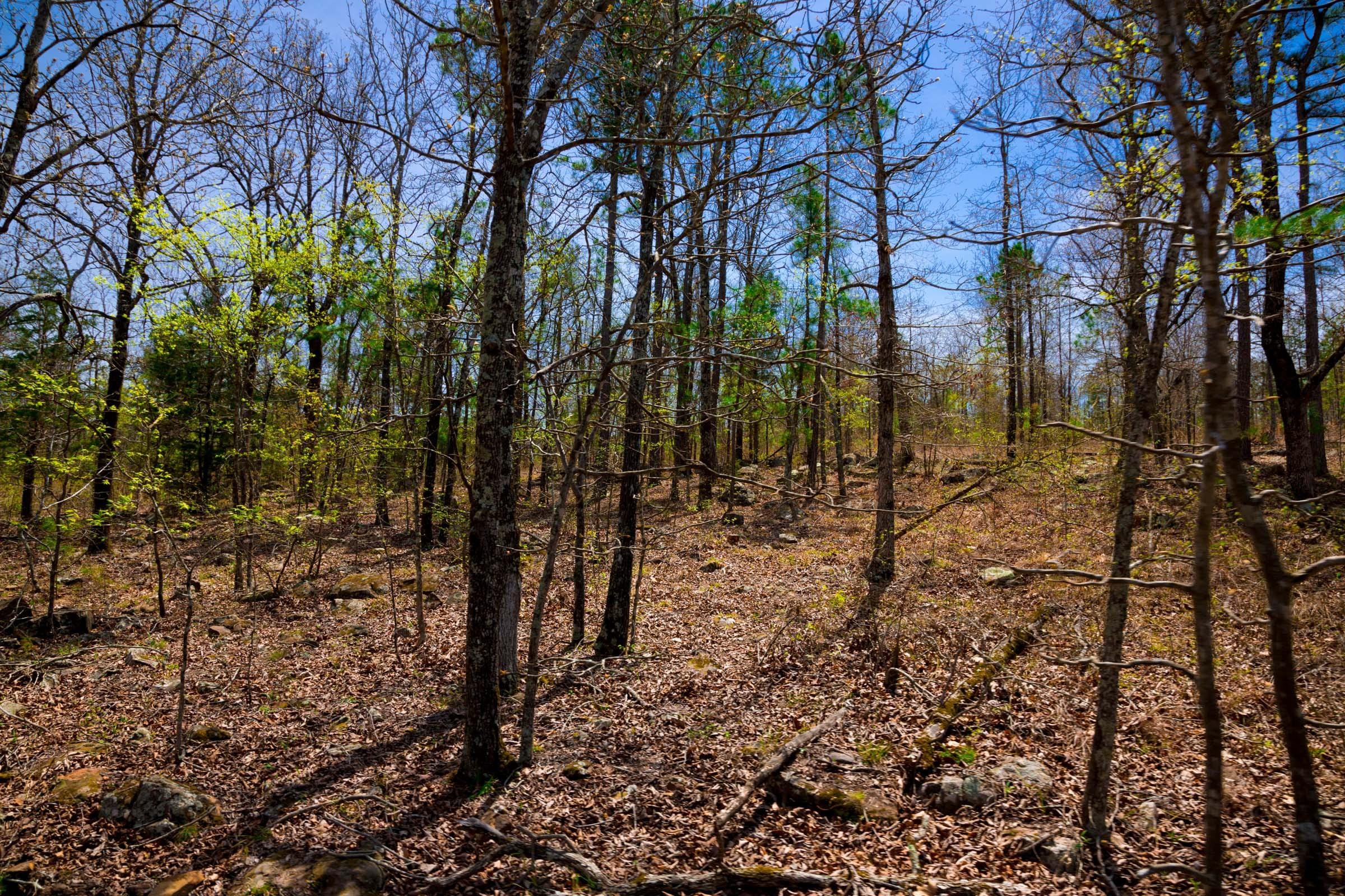 Stone Creek Phase II Tract 212 photo 7