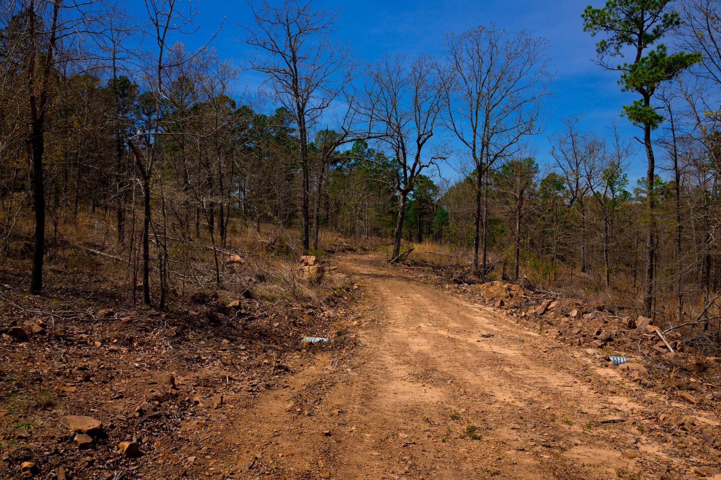 Stone Creek Phase II Tract 212 photo 8