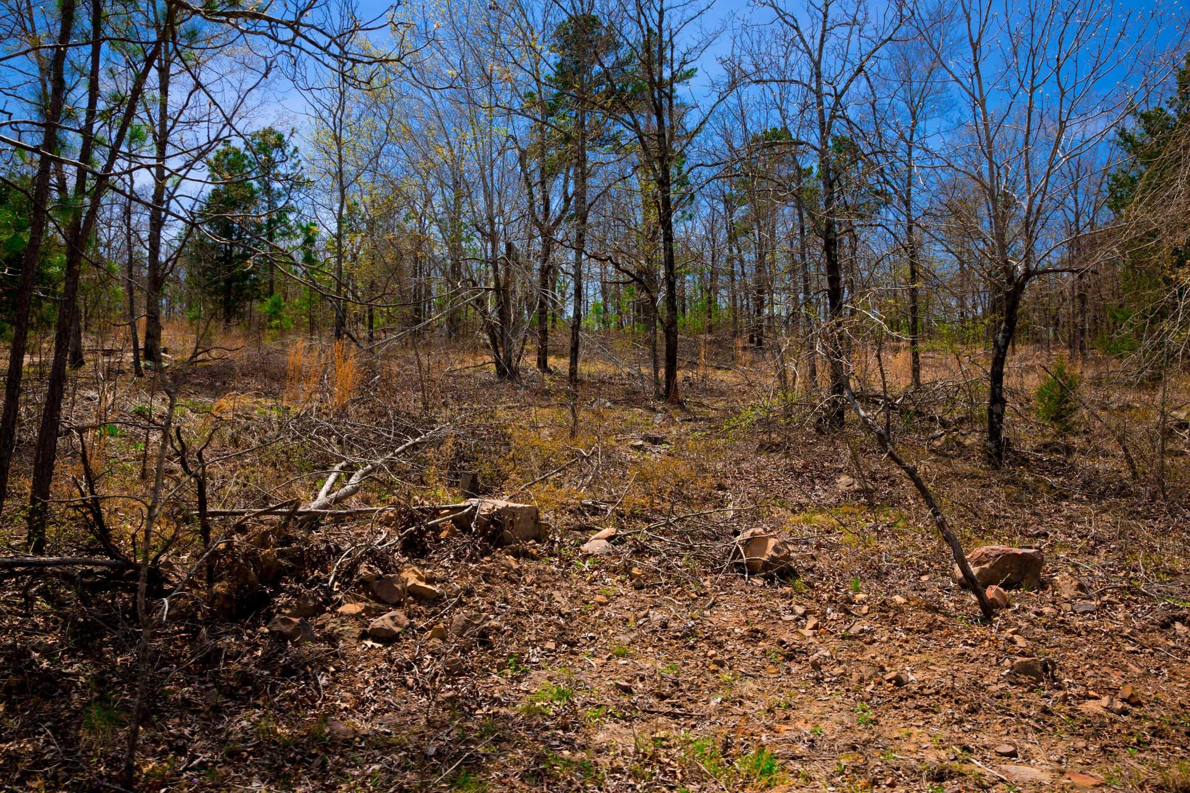 Stone Creek Phase II Tract 212 photo 9