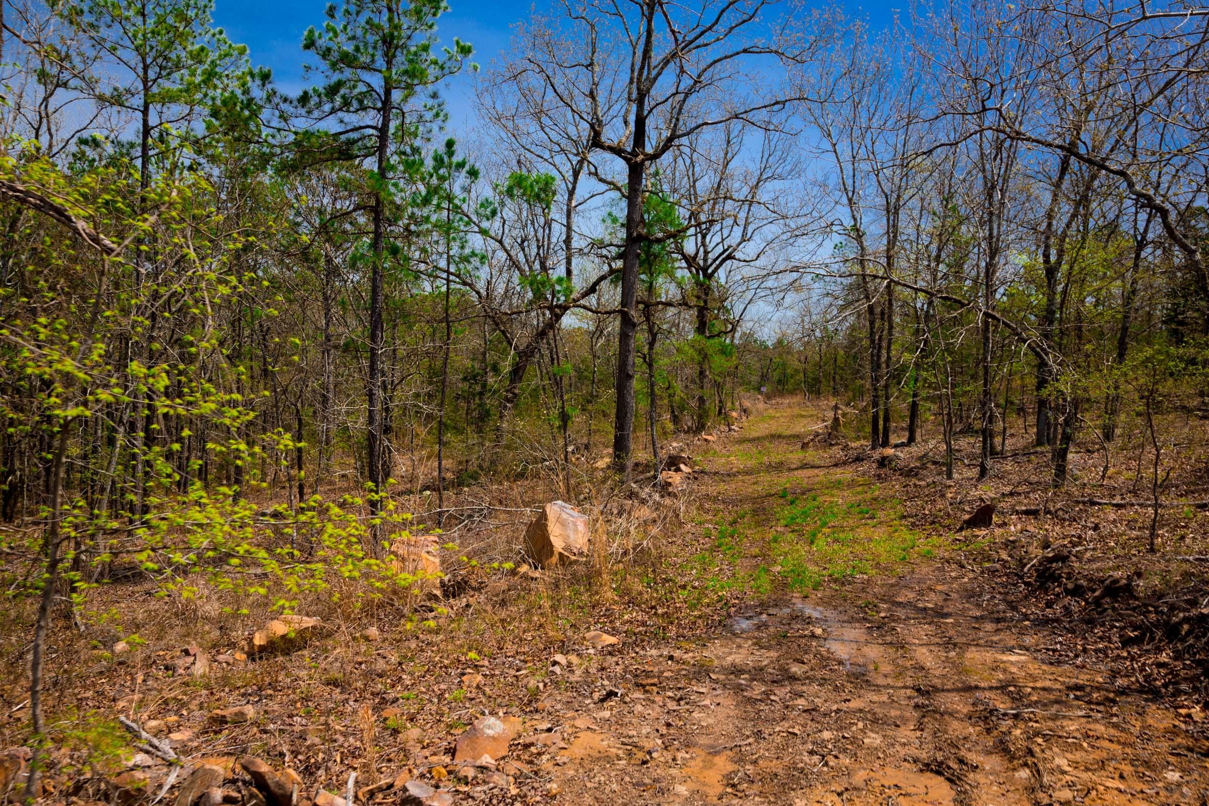 Stone Creek Phase II Tract 212 photo 10