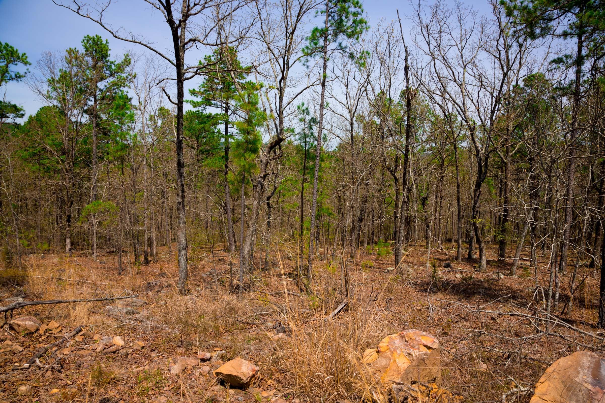 Stone Creek Phase II Tract 212 photo 11