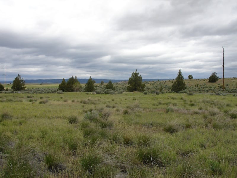 California Pines Tract 15 photo 1