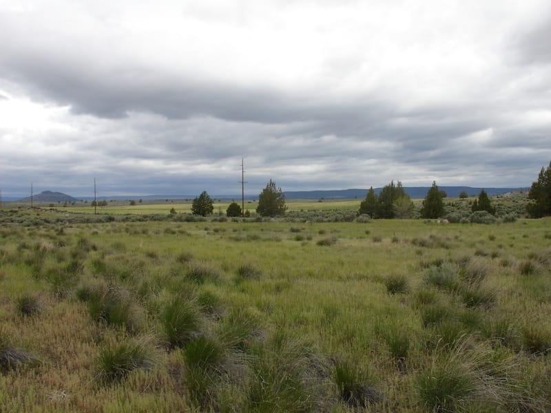 California Pines Tract 15 photo 2