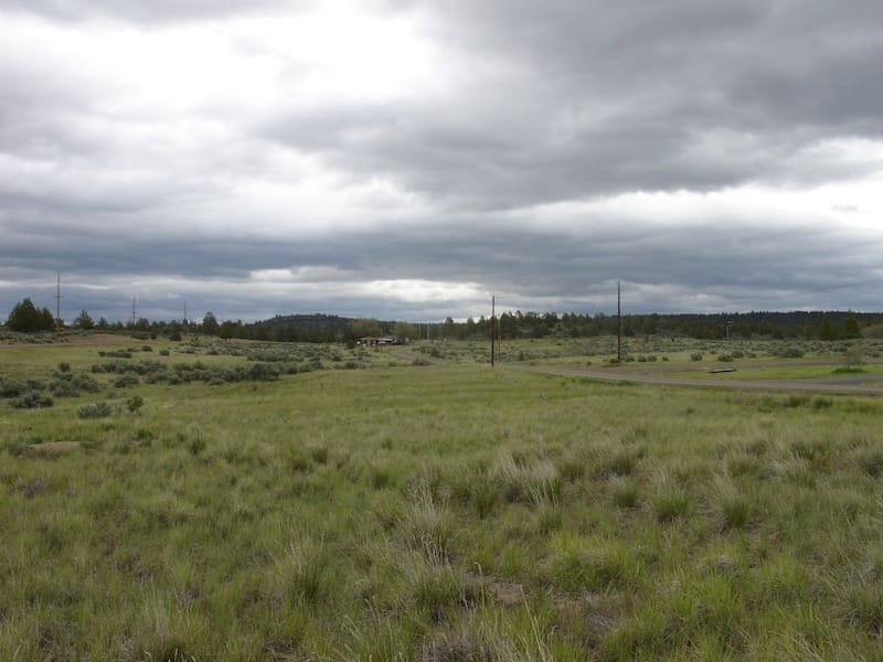California Pines Tract 15 photo 4