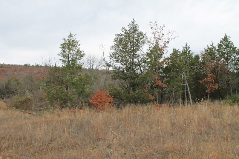 Indian Ridge – Phase I Tract 21 photo 3