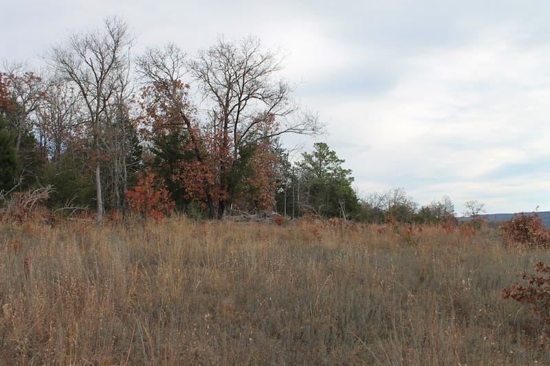 Indian Ridge – Phase I Tract 21 photo 4