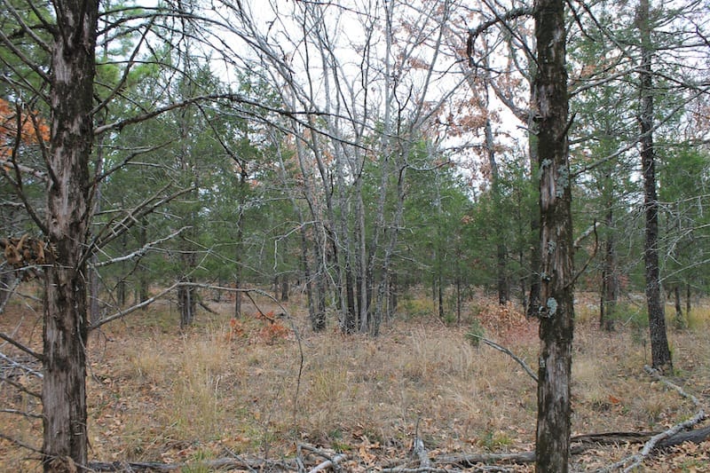Indian Ridge – Phase I Tract 21 photo 6