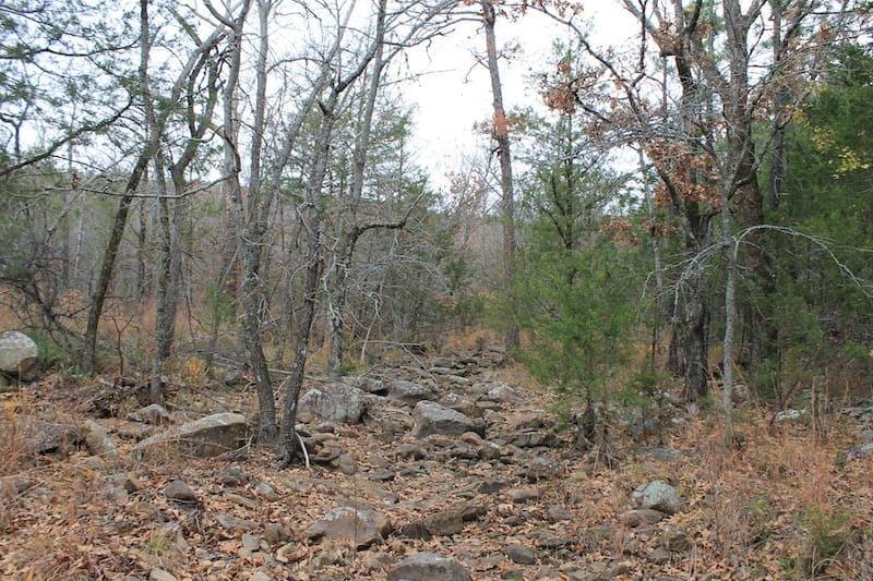 Indian Ridge – Phase I Tract 21 photo 7