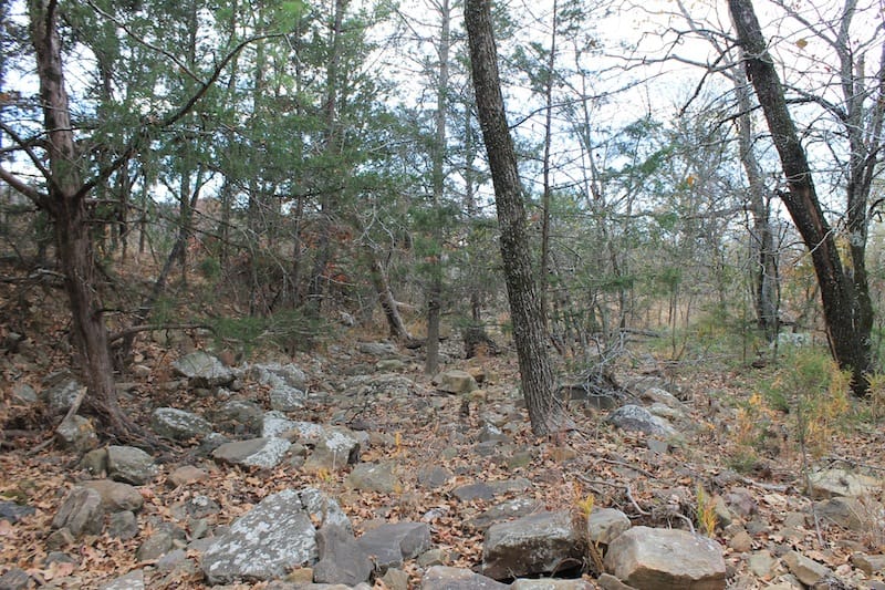 Indian Ridge – Phase I Tract 21 photo 8