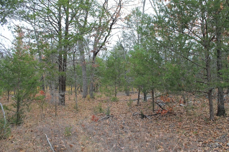 Indian Ridge – Phase I Tract 21 photo 9