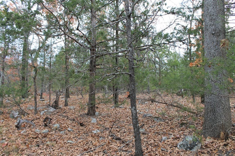 Indian Ridge – Phase I Tract 21 photo 10