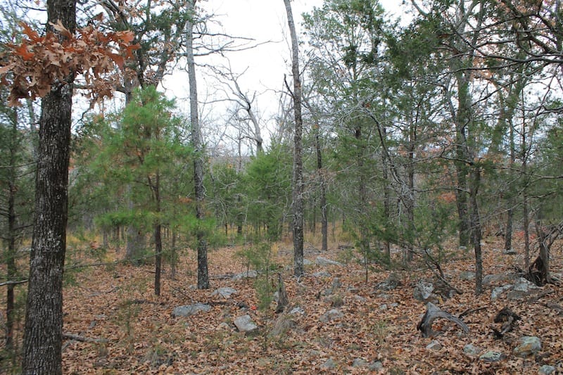 Indian Ridge – Phase I Tract 21 photo 11