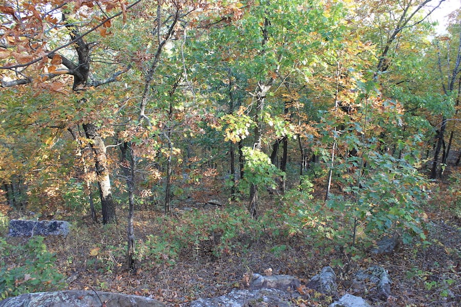Indian Ridge – Phase III Tract 89 photo 4