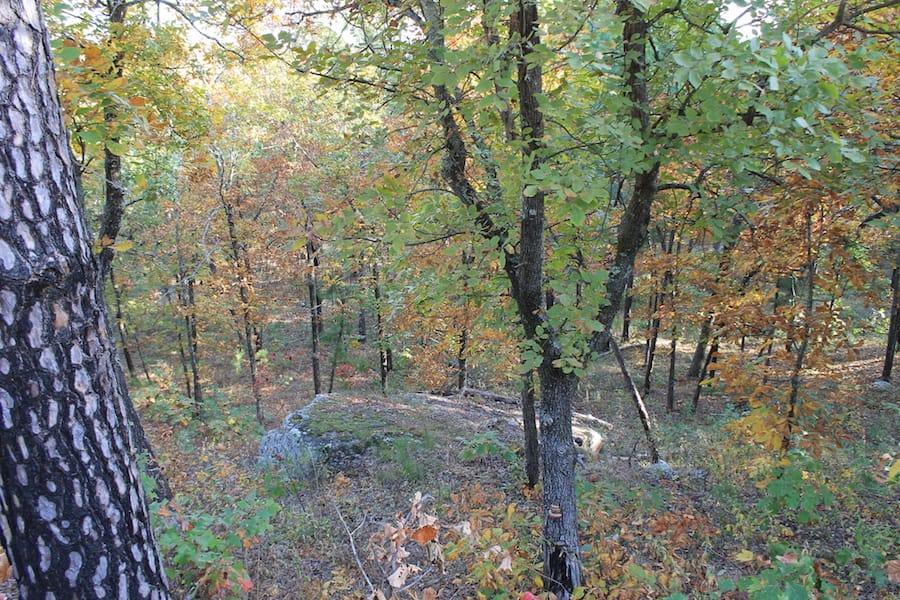 Indian Ridge – Phase III Tract 89 photo 6