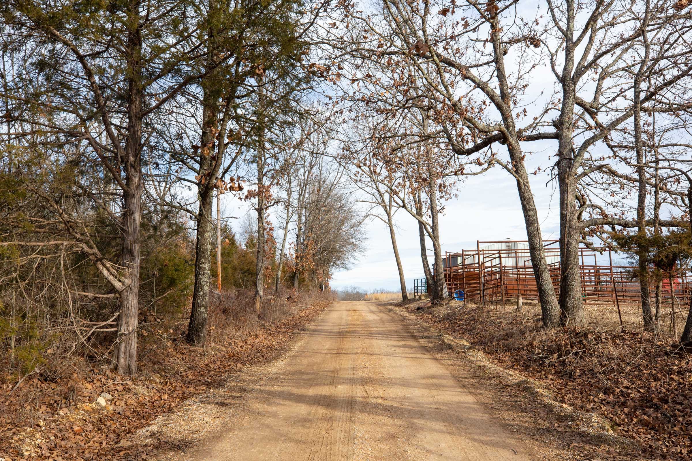 Forest Hill Tract 8 photo 1