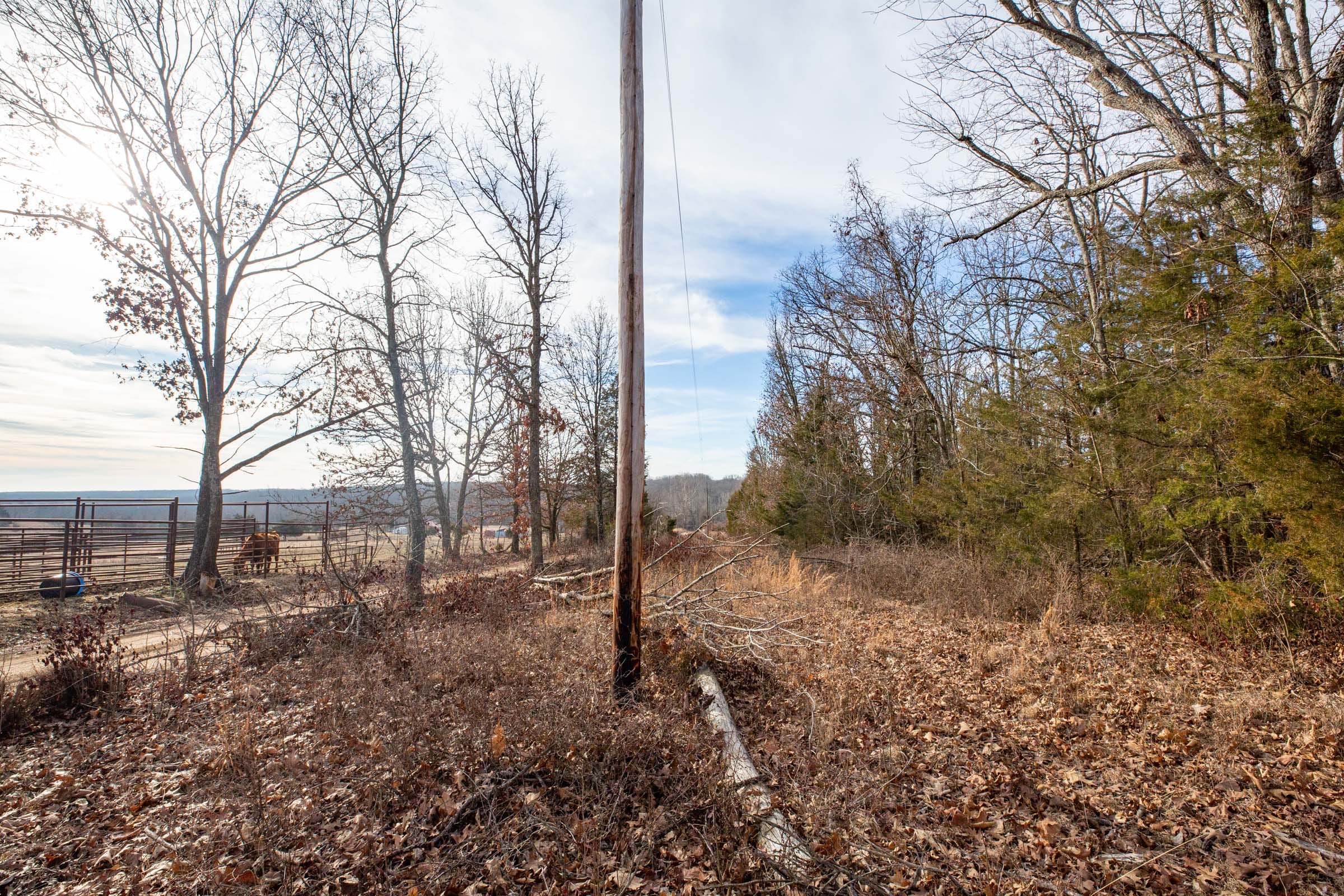 Forest Hill Tract 8 photo 5