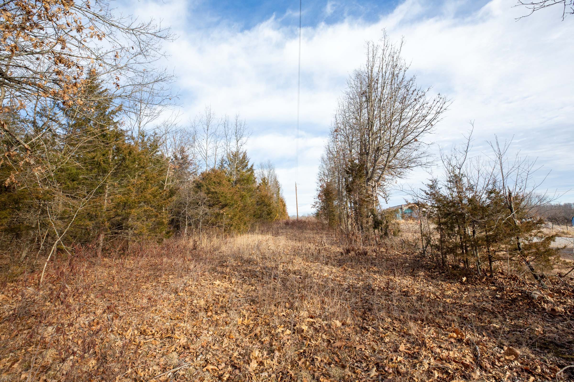 Forest Hill Tract 8 photo 6