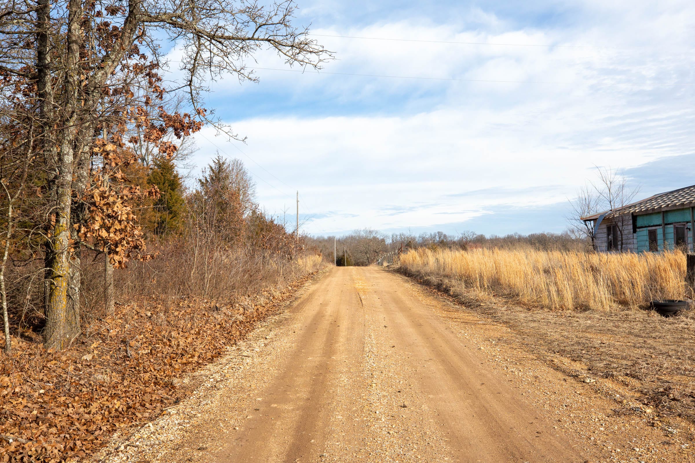 Forest Hill Tract 8 photo 7