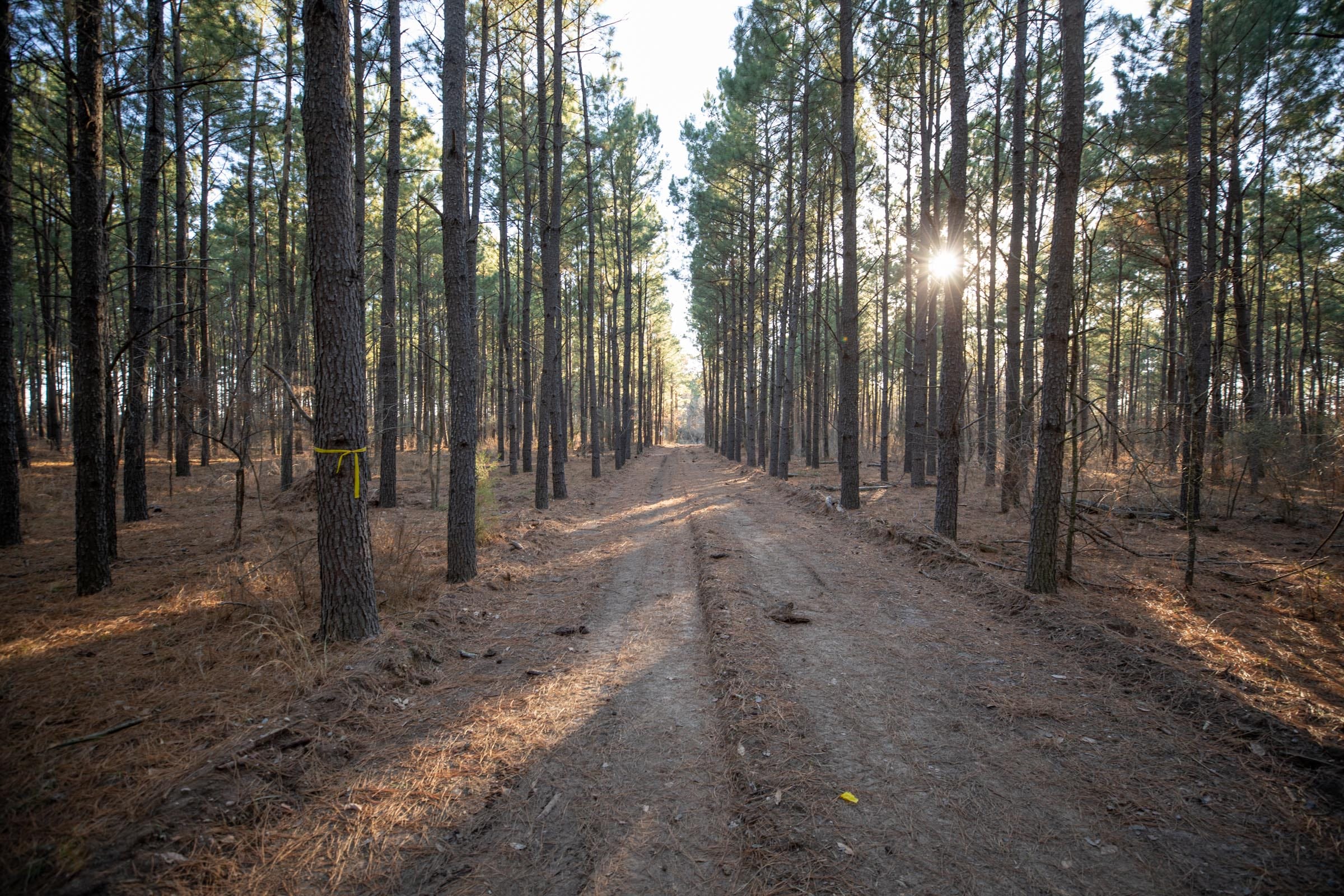 Wishing Star Ranch Tract 57 photo 1