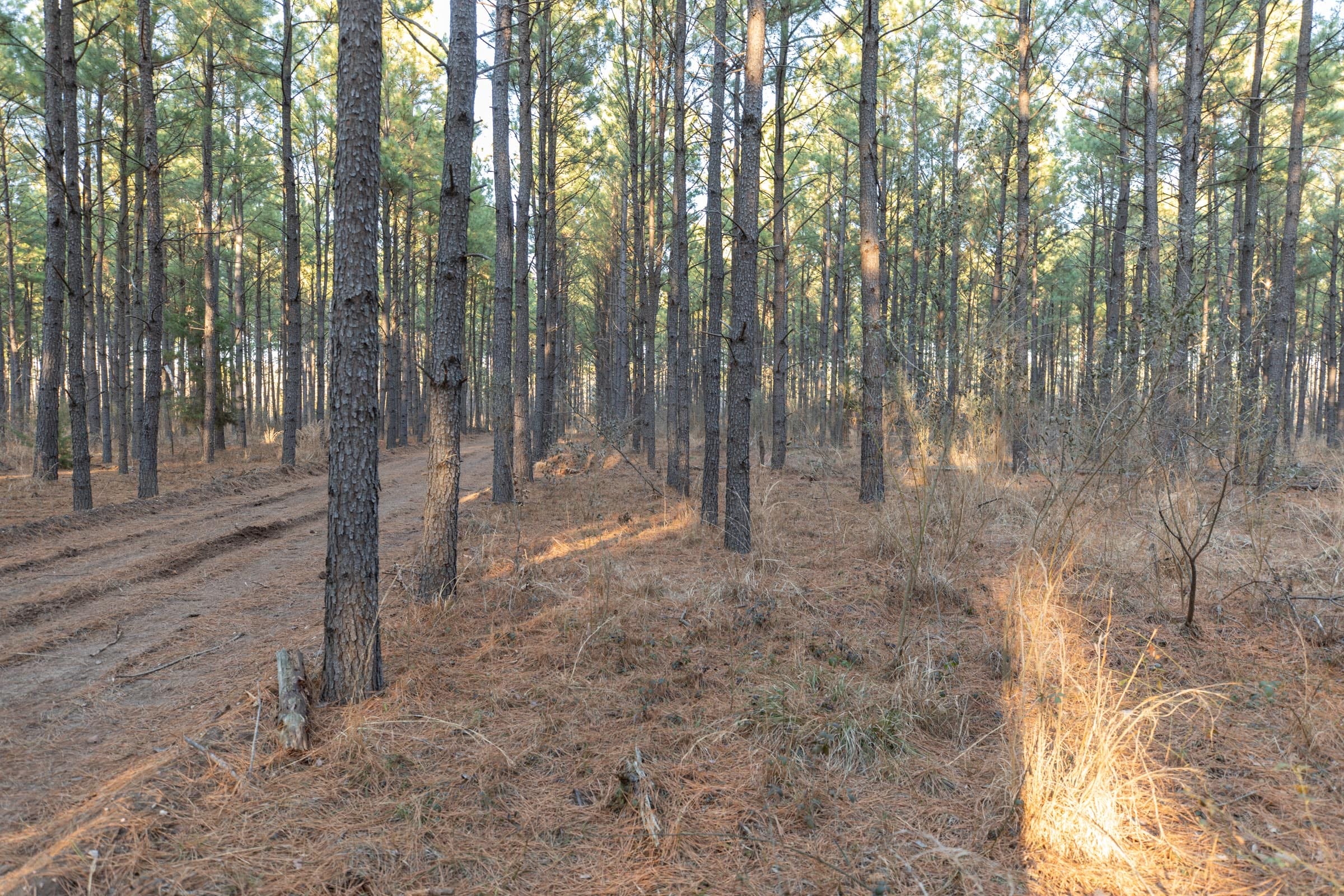 Wishing Star Ranch Tract 57 photo 4